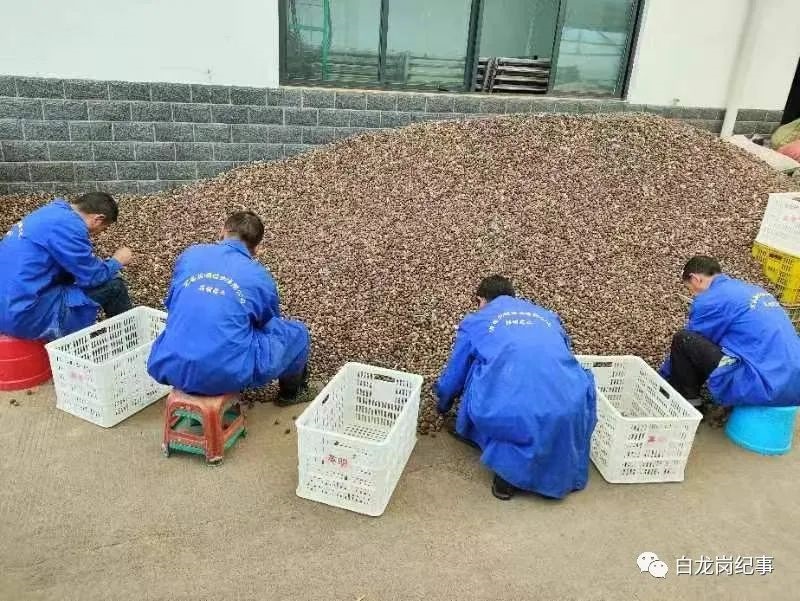 產(chǎn)值已過(guò)億，宜昌這地正在布局新賽道